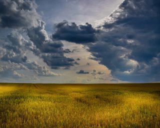 agriculture-1846341_1280