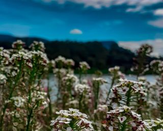 blue-sky-4860151_1280