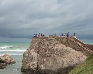 galle-4818526_1280