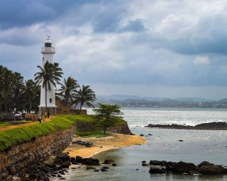 galle-5115527_1280