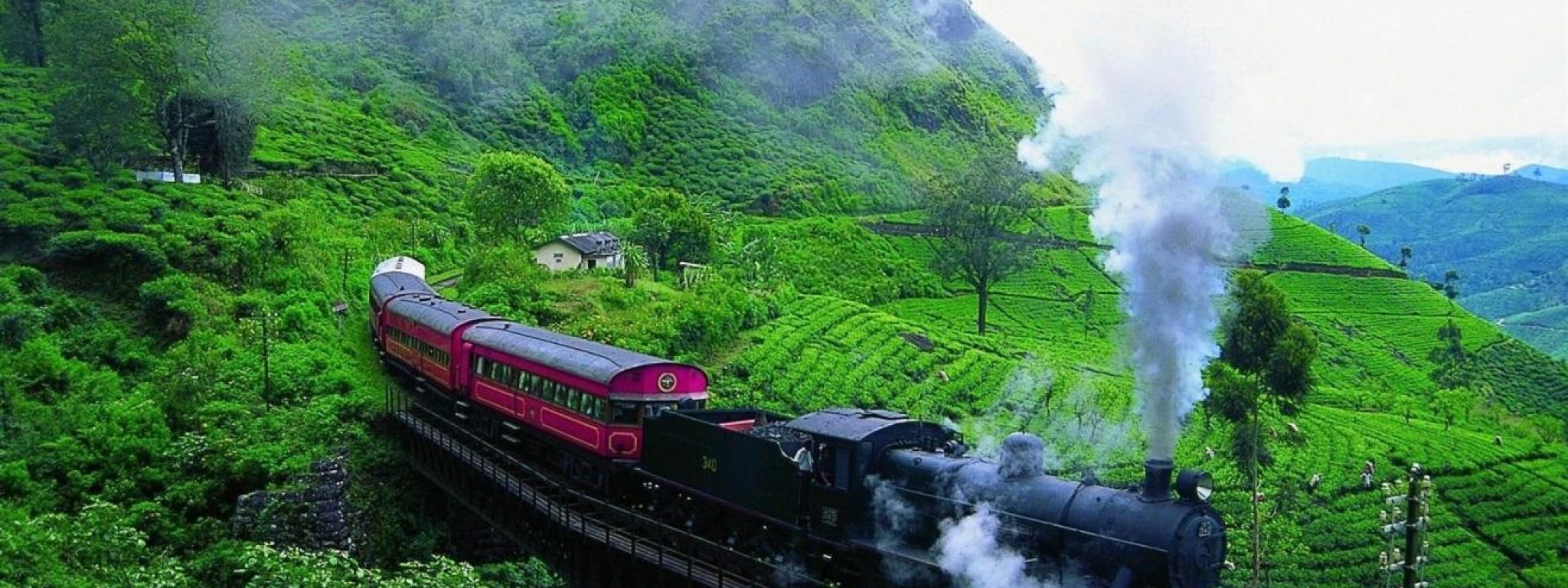 image-result-for-nuwara-eliya-by-train-2