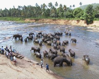 sri-lanka-289803_1280