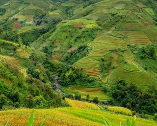 terraces-5568679_1280